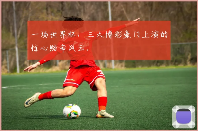 一场世界杯，三大博彩豪门上演的惊心赔率风云。