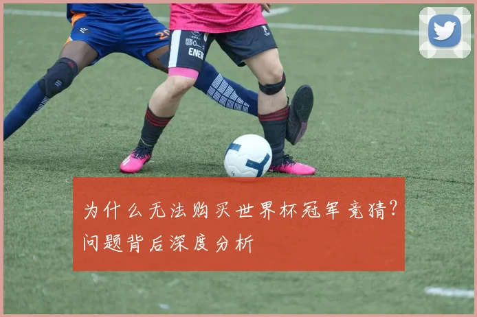 为什么无法购买世界杯冠军竞猜？问题背后深度分析
