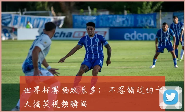 世界杯赛场欢乐多：不容错过的十大搞笑视频瞬间