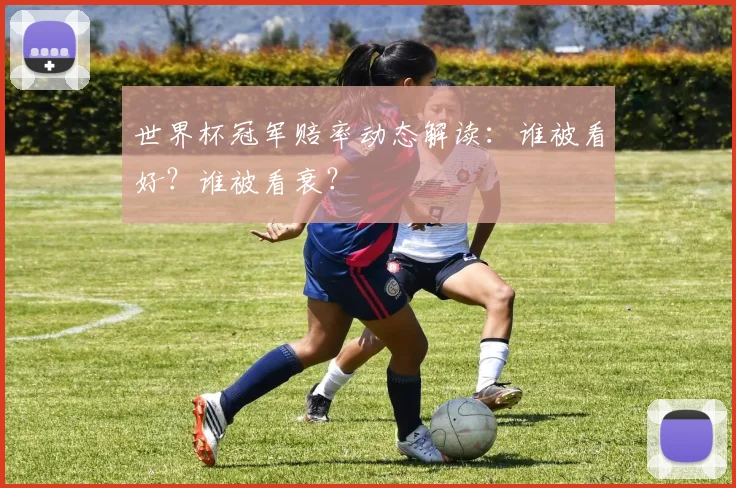 世界杯冠军赔率动态解读：谁被看好？谁被看衰？